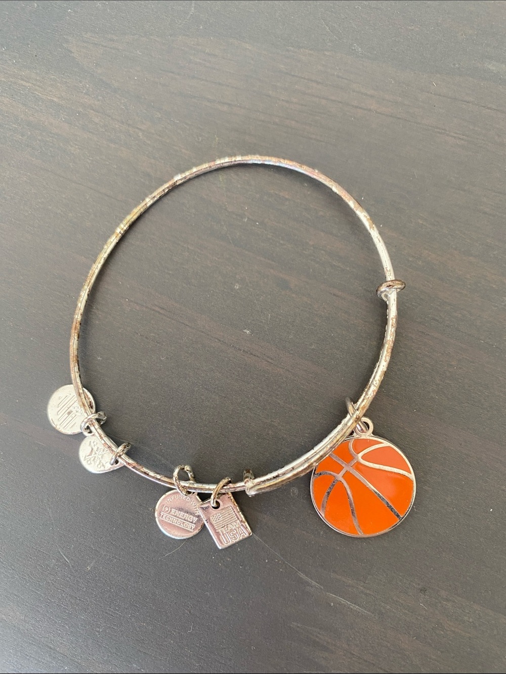 Alex and Ani Silver-Tone Adjustable Charm Bangle with Round Tags